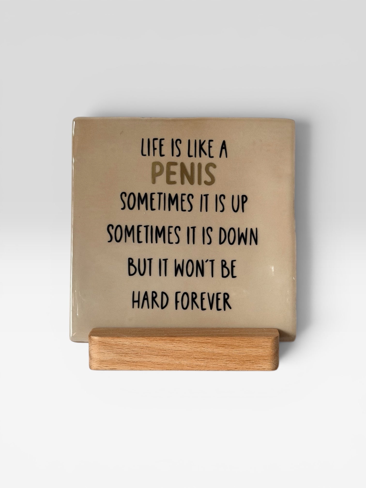 Tegeltje ‘Life is like a …’